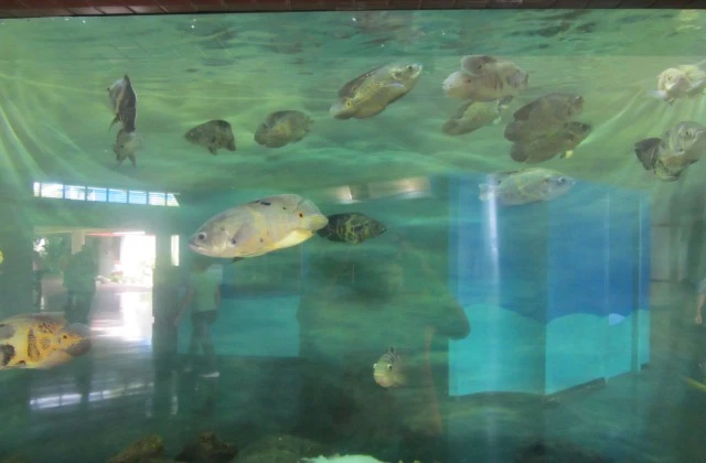 Aquarium Santo Domingo Dominican Republic 2